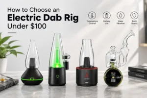 How to Choose an Electric Dab Rig under $100