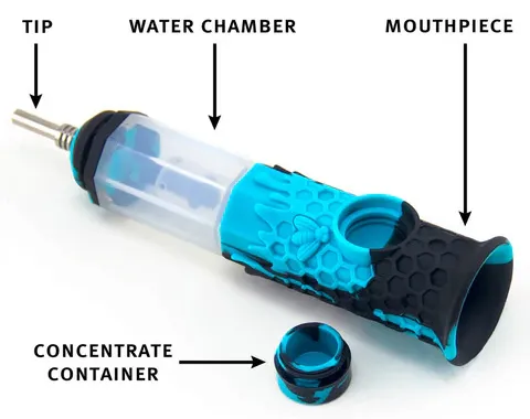 The structure of a nectar collector