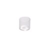 dabcool w2 quartz cup